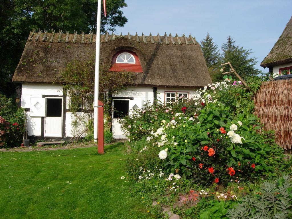 Travel Back In Time Guest House Nyord Luaran gambar